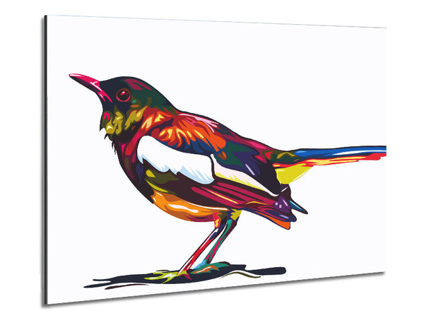 Colour splash blackbird Metal Print