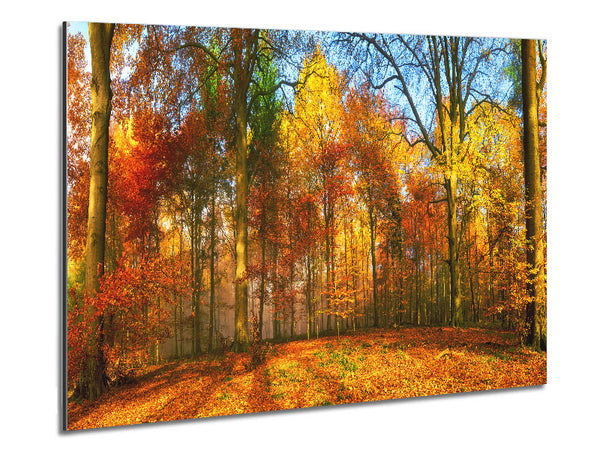 Autumn Forest soft Metal Print