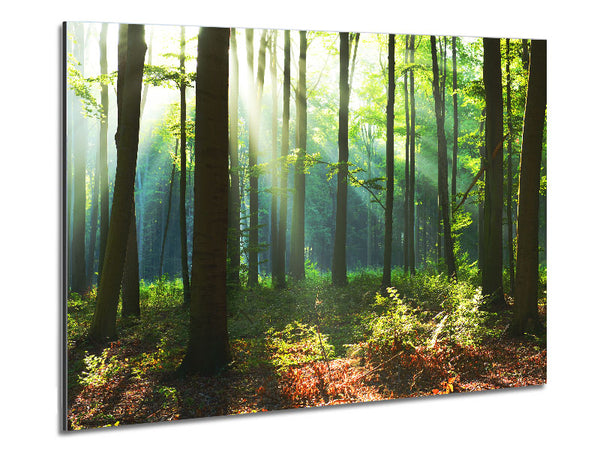 Woodland Blues and greens Metal Print