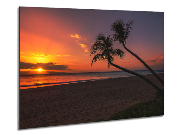 Two palm trees on the beach Metal Print