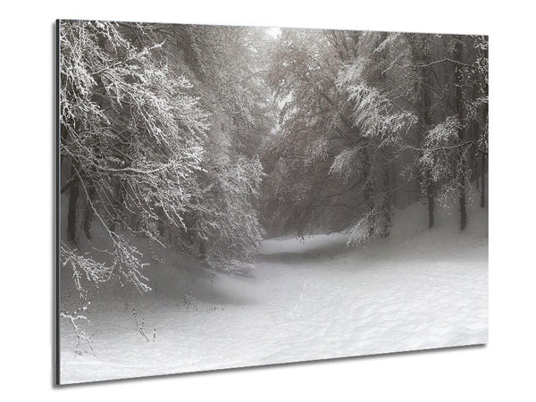 Grey snow forest Metal Print
