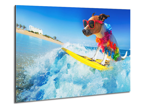 Dog with sunglasses surfing Metal Print