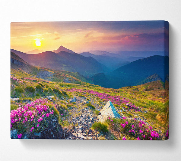  A Canvas Print of Beautiful mountain range and flowers Canvas Art