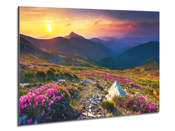 Beautiful mountain range and flowers Metal Print