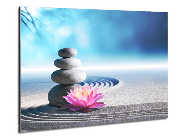 pebbles on zen beach lilly Metal Print