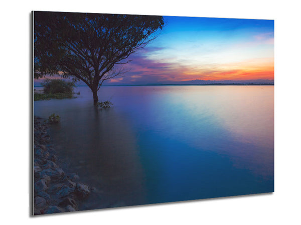 Tree in the river Metal Print