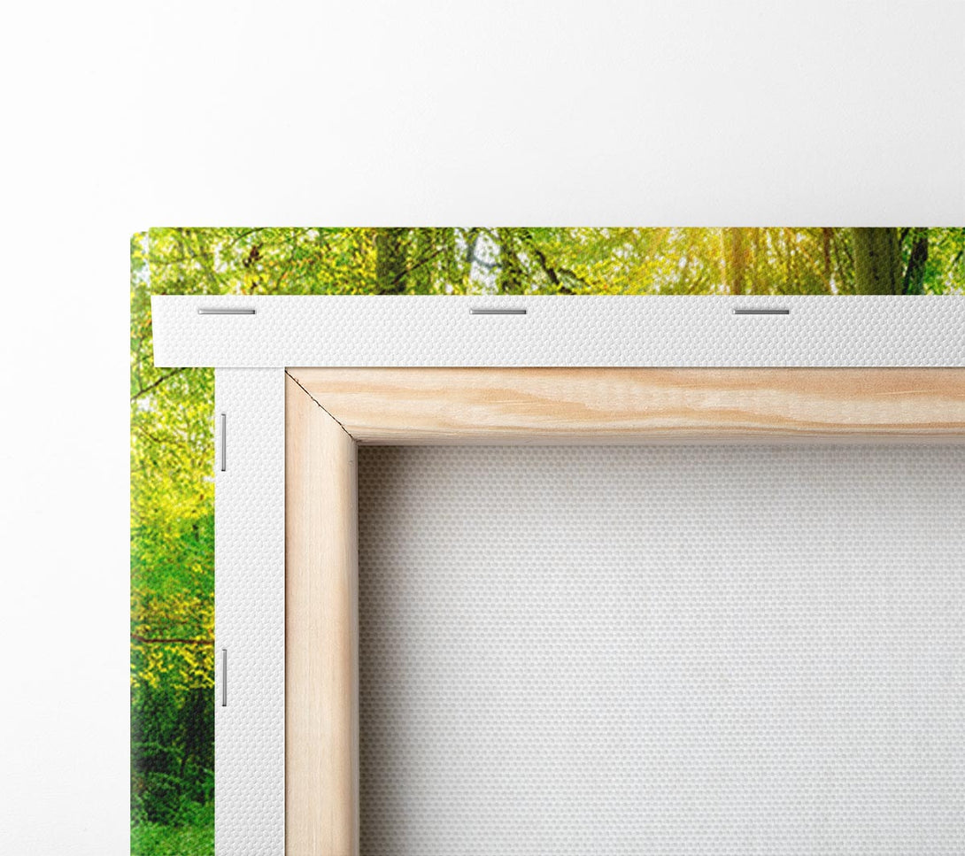  A Canvas Print of Green forest beauty Canvas Print