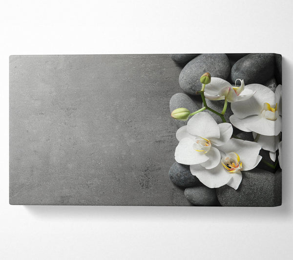 White Orchid on grey pebbles
