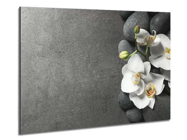 White Orchid on grey pebbles Metal Print