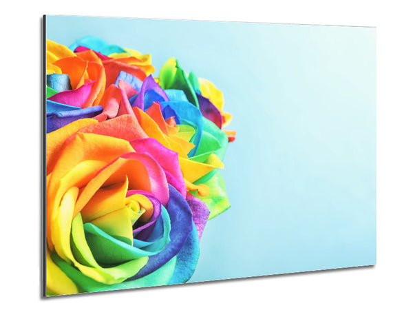 Rose colour rainbow Metal Print