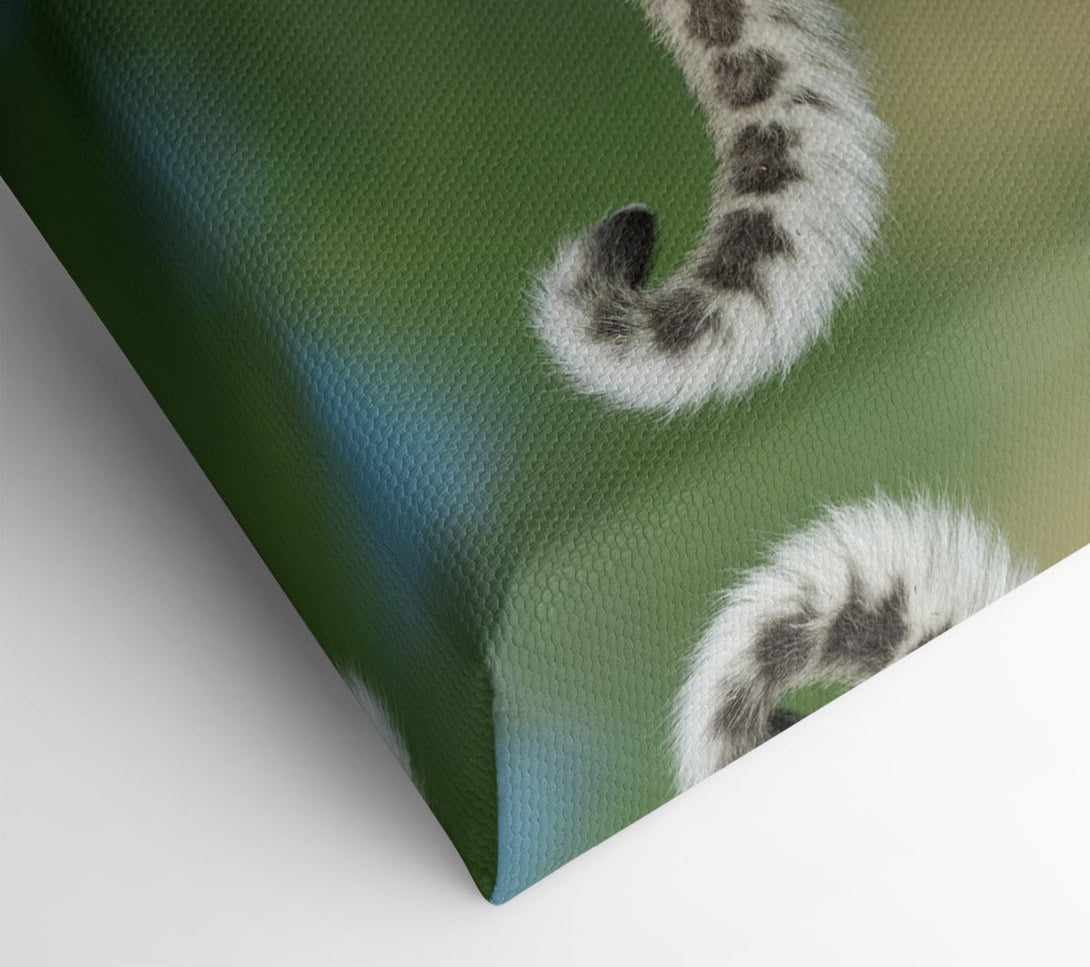  A Canvas Print of Leopard Cub walking a branch Canvas Art
