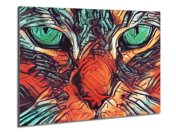 Cat eyes close in view Metal Print
