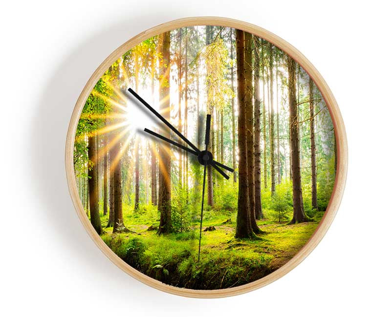Sun appearing through the trees in britain Clock - Wallart-Direct UK