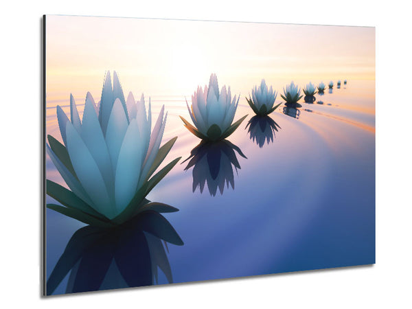 Waterlillies lined up Metal Print