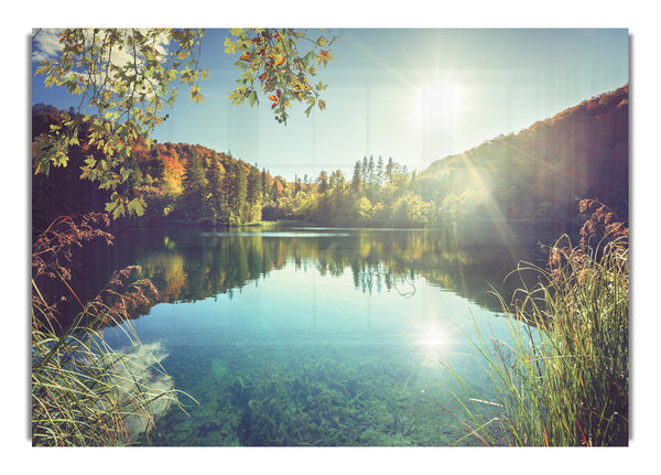 Blick auf den See durch die Zweige