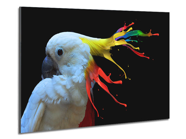 cockatoo colour splash Metal Print