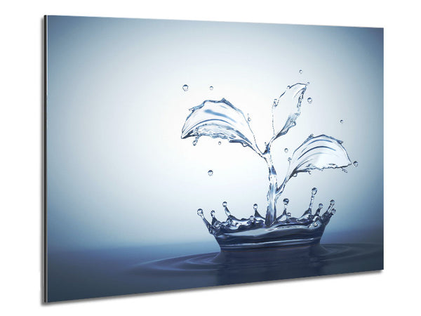 Water splash plant Metal Print