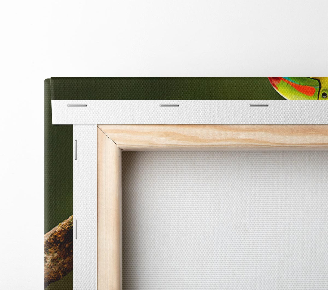  A Canvas Print of Two Toucans on branch Canvas Print