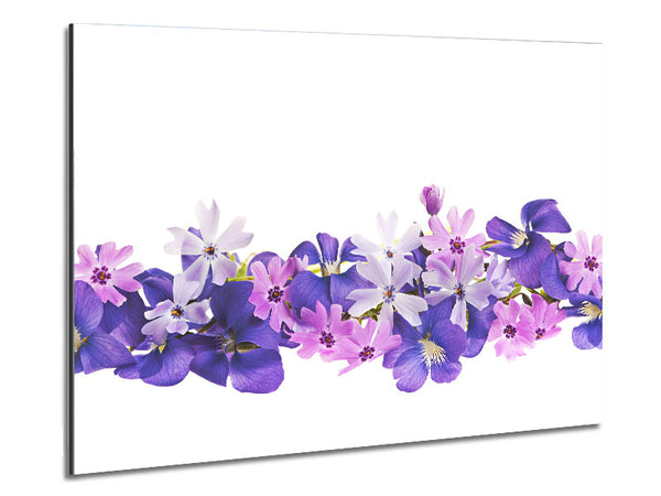 Pink and violet flowers laid out Metal Print