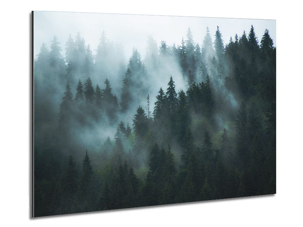 Mist in the dense woods Metal Print
