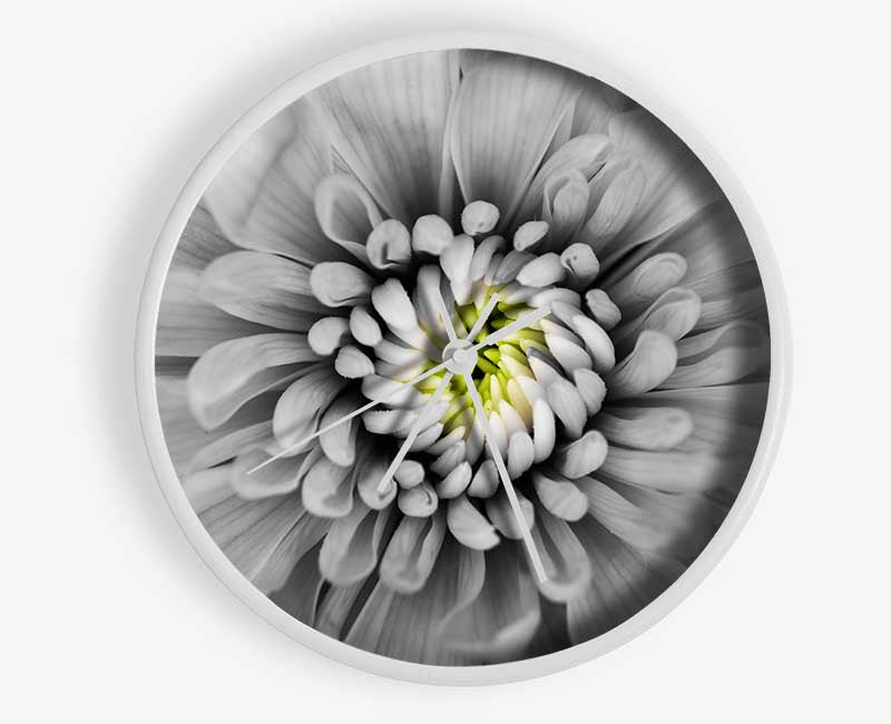 Close up flower in black and white Clock - Wallart-Direct UK