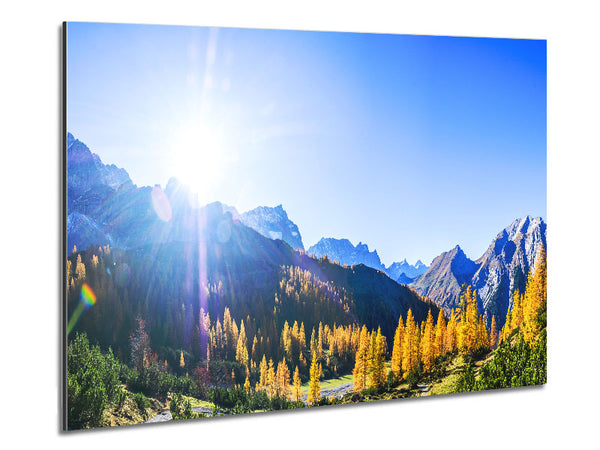 Mountain view of tall trees sunrise Metal Print