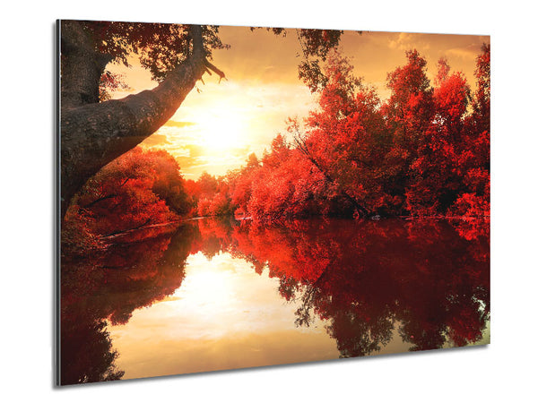 Stunning red forest reflections in the river Metal Print