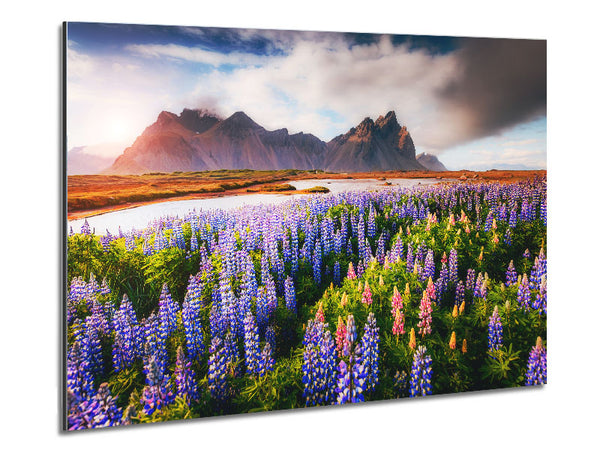 Loopins in the forest Metal Print