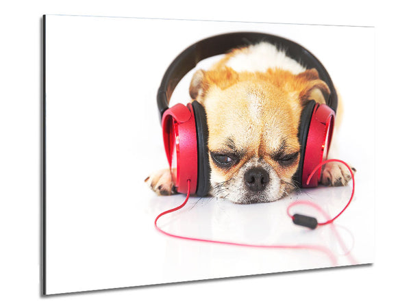 Dog listening to music relaxing Metal Print