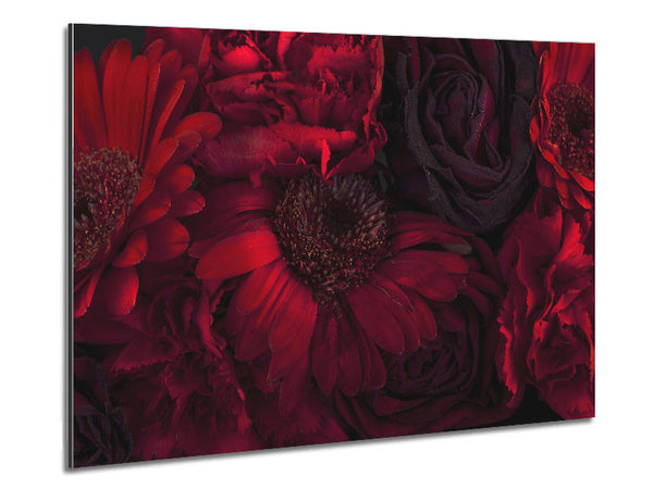 Red dying flowers Metal Print
