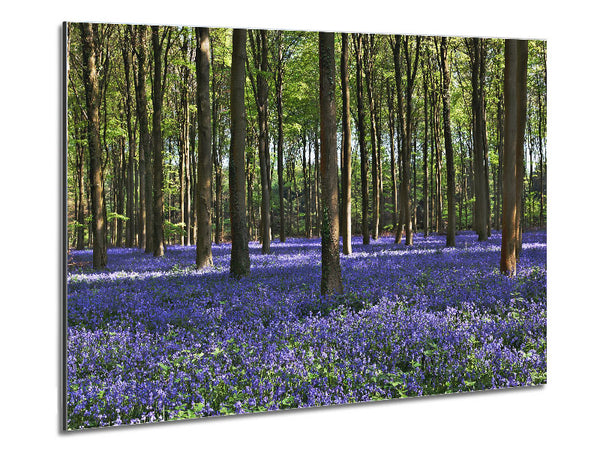 Beautiful purple flowers in the woods Metal Print