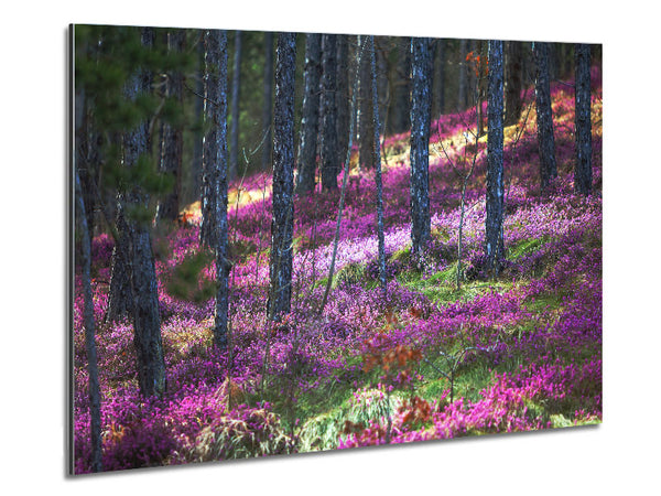Downhill woodlands Metal Print