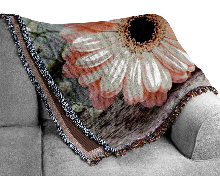 Pink gerbera laying down close Woven Blanket