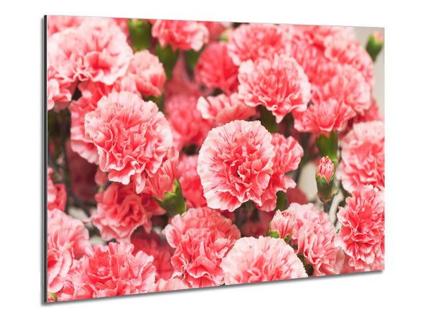 Pink floweres of plenty Metal Print
