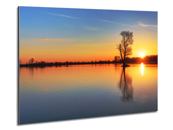 Sunset above the trees river Metal Print