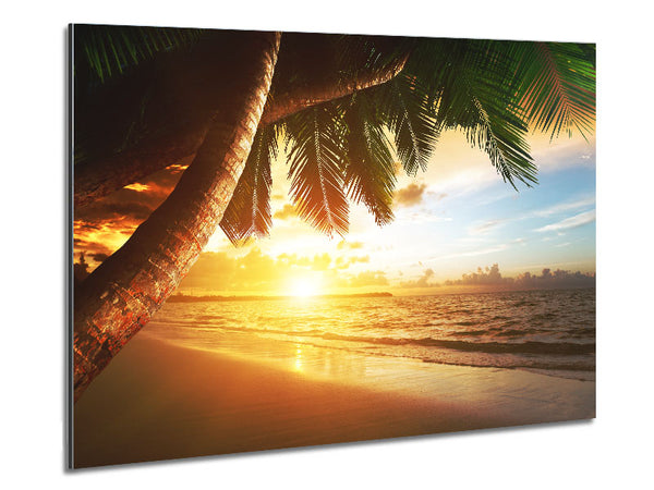 Low sunset at the beach Metal Print