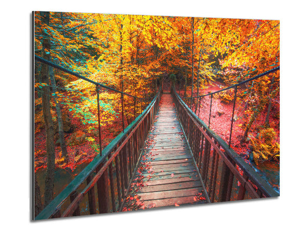 The rope bridge through the forest Metal Print