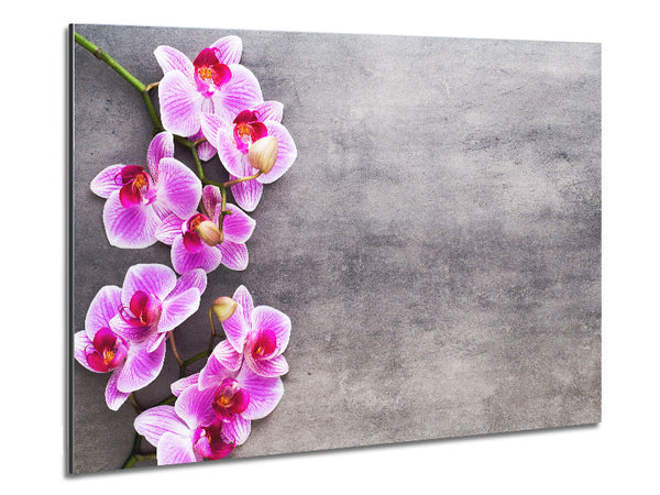 Pink Orchids on grey Metal Print