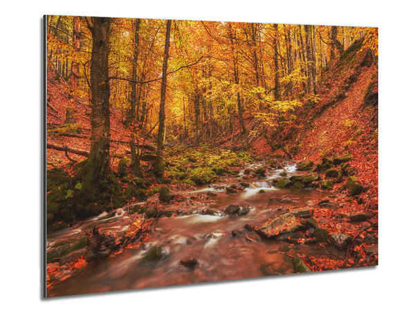 Soft trickling water through the trees Metal Print