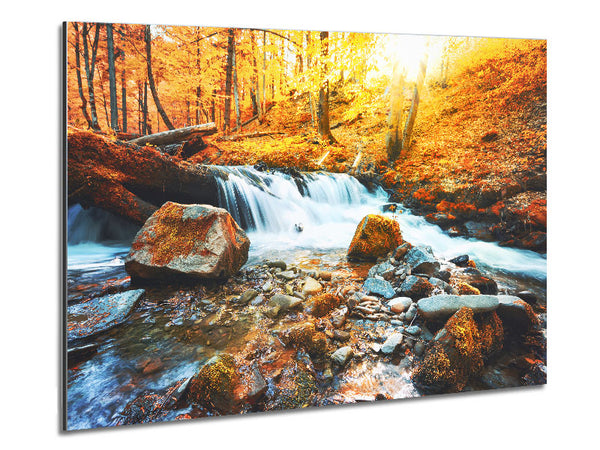 Waterfall in the woods beauty Metal Print