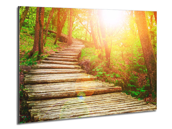 Log trail through the woods Metal Print