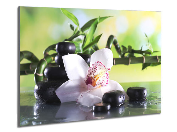 Orchids on the stones bamboo Metal Print