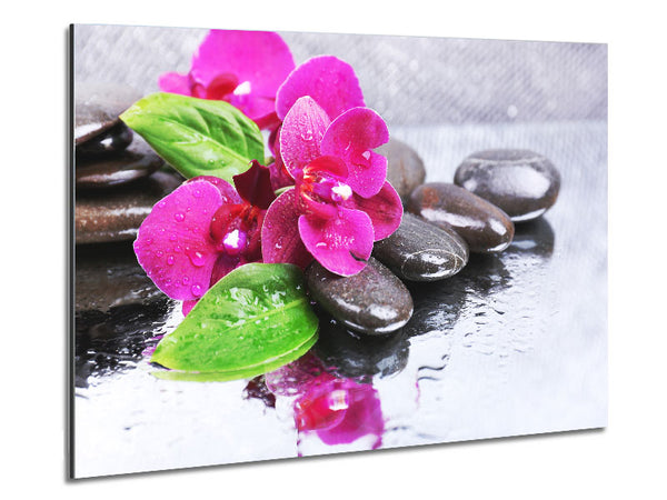Orchids on the wet pebbles Metal Print