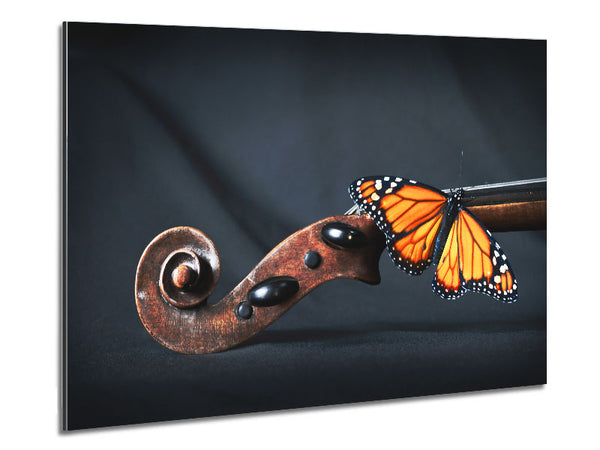 Butterfly resting on Instrument Metal Print