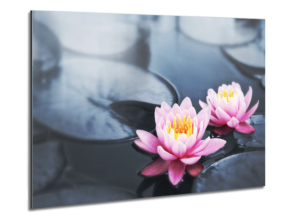 Flowers on the water floating Metal Print