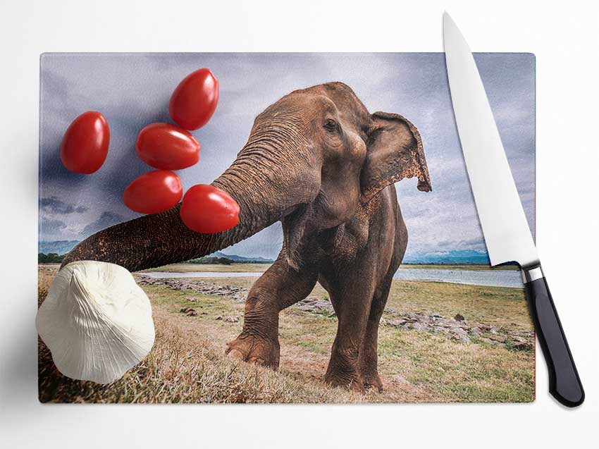 Elephant coming up close Glass Chopping Board