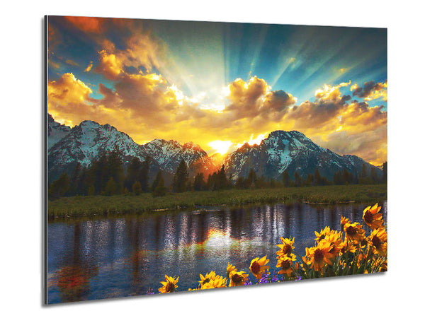 Flowers in front of the mountains Metal Print