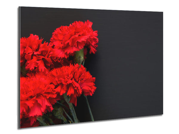 Red flowers dark background Metal Print
