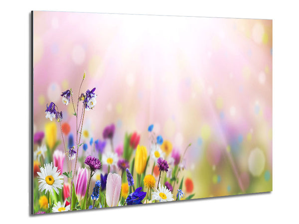 Mixed colourful flowers Metal Print