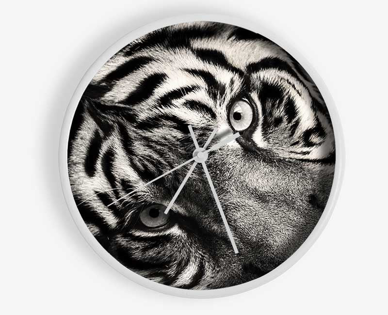 Up close tiger lying down Clock - Wallart-Direct UK